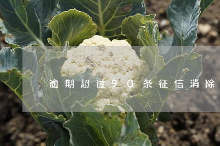 逾期超过90条征信消除
