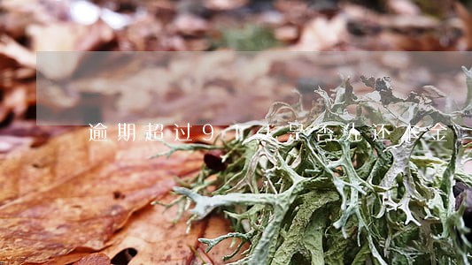逾期超过91天是否先还本金