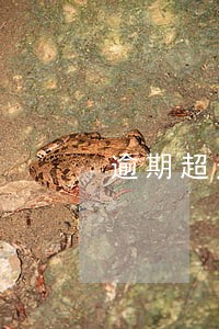 逾期超过一年征信多久恢复 逾期超过一年征信多久恢复