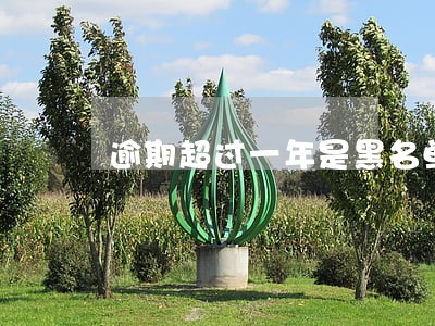 逾期超过一年是黑名单吗 逾期超过一年是黑名单吗