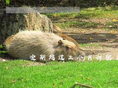 逾期超过三个月会被上门回访吗 逾期超过三个月会被上门回访吗