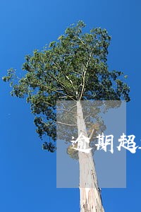 逾期超过三个月图片 逾期超过三个月图片