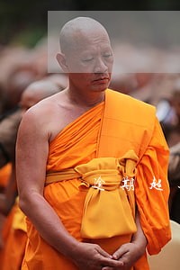 逾期超过三个月的征信图片 逾期超过三个月的征信图片