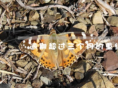 逾期超过三个月的重组贷款 逾期超过三个月的重组贷款