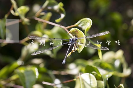 逾期超过三天上征信吗 逾期超过三天上征信吗