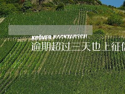 逾期超过三天也上征信