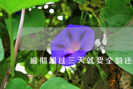 逾期超过三天就要全额还 逾期超过三天就要全额还