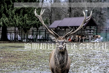 逾期超过三年还会被转让债权吗 逾期超过三年还会被转让债权吗
