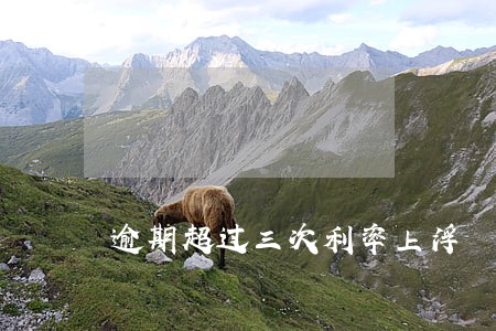 逾期超过三次利率上浮 逾期超过三次利率上浮
