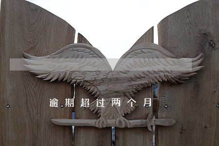 逾期超过两个月 逾期超过两个月
