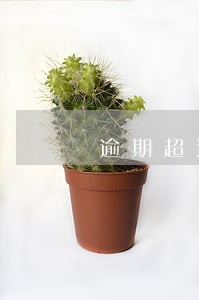 逾期超过两个月是哪条刑法 逾期超过两个月是哪条刑法