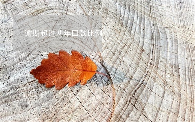 逾期超过两年回款比例 逾期超过两年回款比例