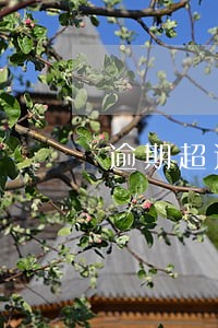 逾期超过两年未检验会怎么样 逾期超过两年未检验会怎么样