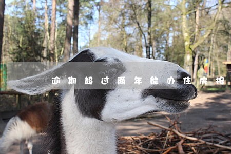 逾期超过两年能办住房按揭吗 逾期超过两年能办住房按揭吗