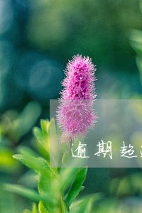 逾期超过九十天多久能还原 逾期超过九十天多久能还原