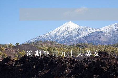 逾期超过九十天英文 逾期超过九十天英文