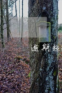 逾期超过九十天还款是先息后本吗 逾期超过九十天还款是先息后本吗
