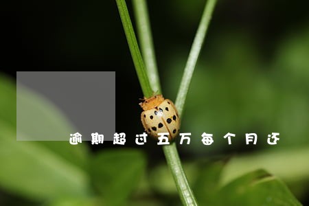逾期超过五万每个月还 逾期超过五万每个月还