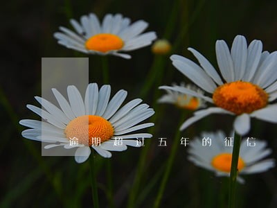 逾期超过五年的征信 逾期超过五年的征信