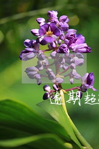 逾期超过六个月如何在协商 逾期超过六个月如何在协商
