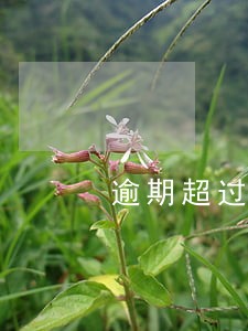 逾期超过六次找关系有用吗 逾期超过六次找关系有用吗