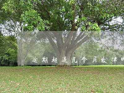 逾期超过几个月发律师函 逾期超过几个月发律师函