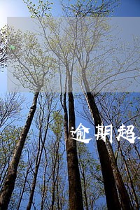 逾期超过几天会被上报征信