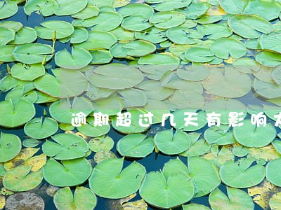 逾期超过几天有影响大吗