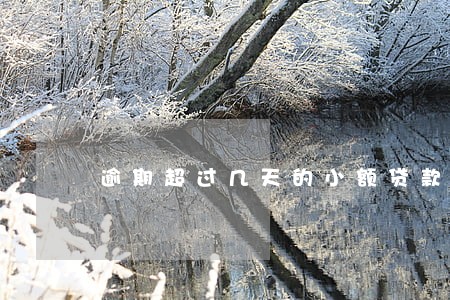 逾期超过几天的小额贷款客户 逾期超过几天的小额贷款客户