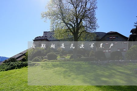 逾期超过几次算黑户 逾期超过几次算黑户