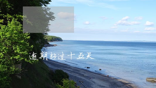 逾期超过十五天 逾期超过十五天