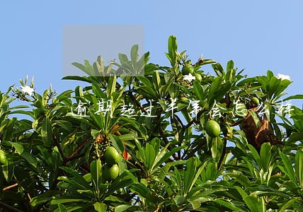 逾期超过半年会怎么样 逾期超过半年会怎么样
