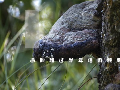 逾期超过半年信用额度 逾期超过半年信用额度