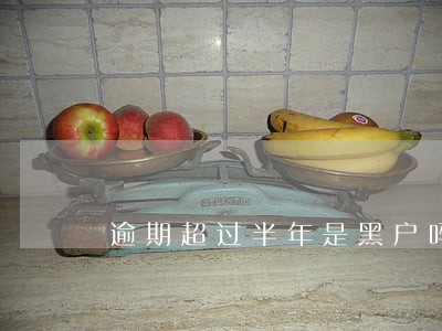 逾期超过半年是黑户吗 逾期超过半年是黑户吗