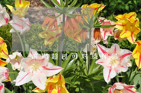 逾期超过可对质押品 逾期超过可对质押品