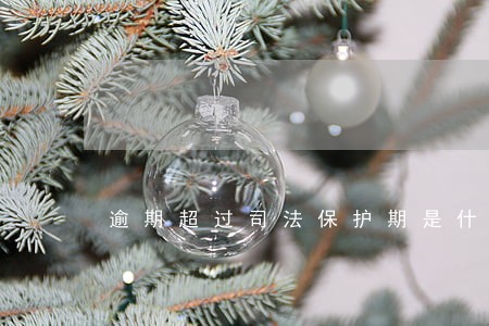 逾期超过司法保护期是什么 逾期超过司法保护期是什么