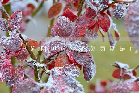 逾期超过国家免责期是什么意思 逾期超过国家免责期是什么意思