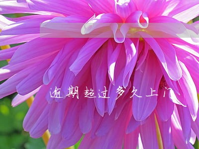 逾期超过多久上门 逾期超过多久上门