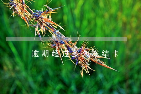 逾期超过多久冻结卡 逾期超过多久冻结卡