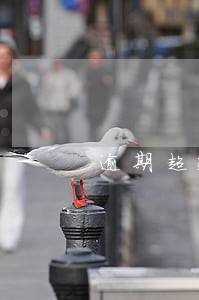 逾期超过多久可以解除合同 逾期超过多久可以解除合同