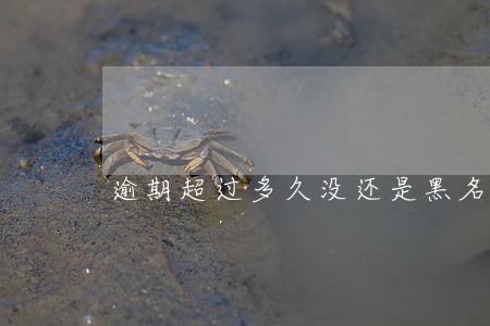 逾期超过多久没还是黑名单 逾期超过多久没还是黑名单