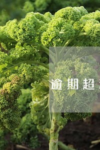 逾期超过多久计入信用 逾期超过多久计入信用