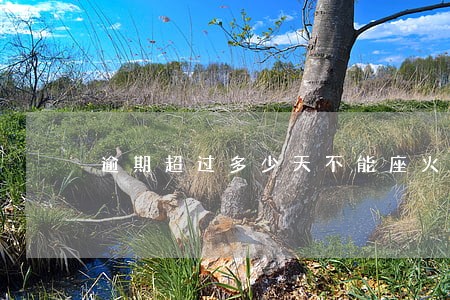 逾期超过多少天不能座火车 逾期超过多少天不能座火车