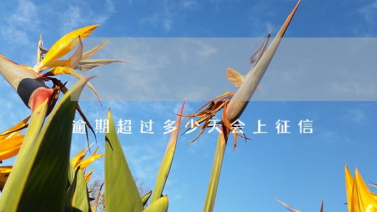 逾期超过多少天会上征信 逾期超过多少天会上征信