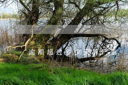 逾期超过多少天算严重 逾期超过多少天算严重