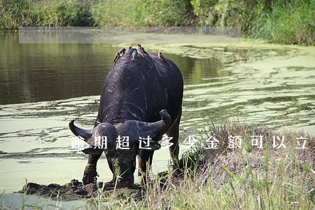 逾期超过多少金额可以立案 逾期超过多少金额可以立案