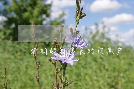 逾期超过多长时间黑户 逾期超过多长时间黑户