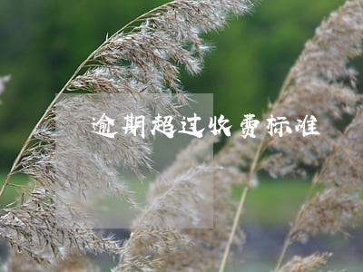逾期超过收费标准 逾期超过收费标准