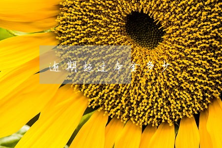 逾期超过本金多少 逾期超过本金多少