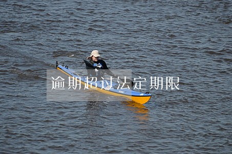 逾期超过法定期限 逾期超过法定期限